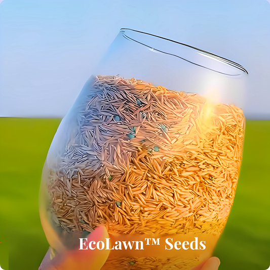 EcoLawn™ Seeds
